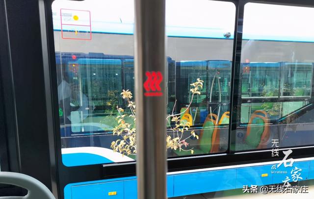 先睹为快！238部新能源公交车亮相石家庄 亮点逐个数