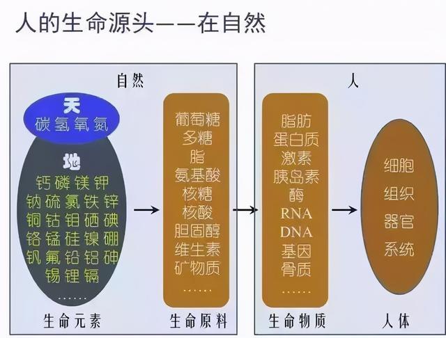 找到自愈癌症的神秘钥匙：他治愈了20多个癌症案例