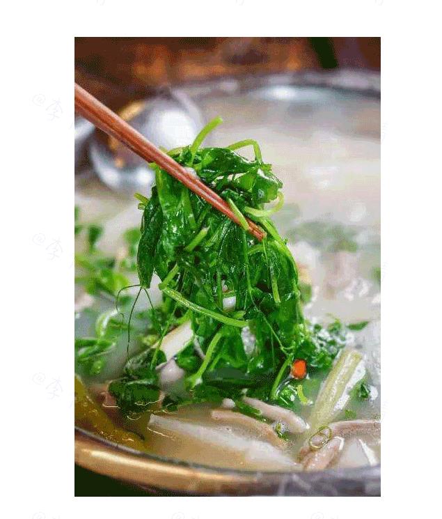 在四川没有一只羊活得过冬至