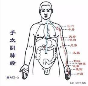 老教授扎针灸，胃病为什么会配肺经穴位？经络循行和手法很重要