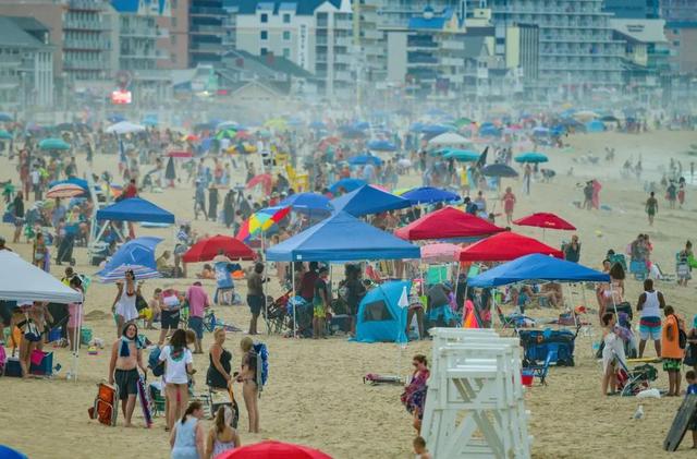 西方|朝阳少侠：原来，西方一直都是这么割全世界韭菜的