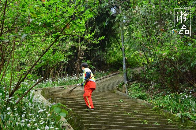 「趣旅游」山城重庆的“陷阱”:佛图关到李子坝只要210米?千万不要信