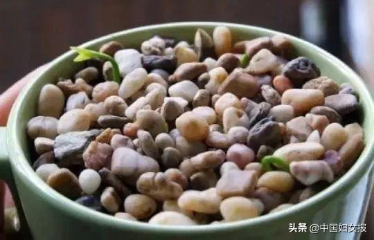 中国妇女报：特殊时期 特别家教 | 战“疫”动起来（四十一）