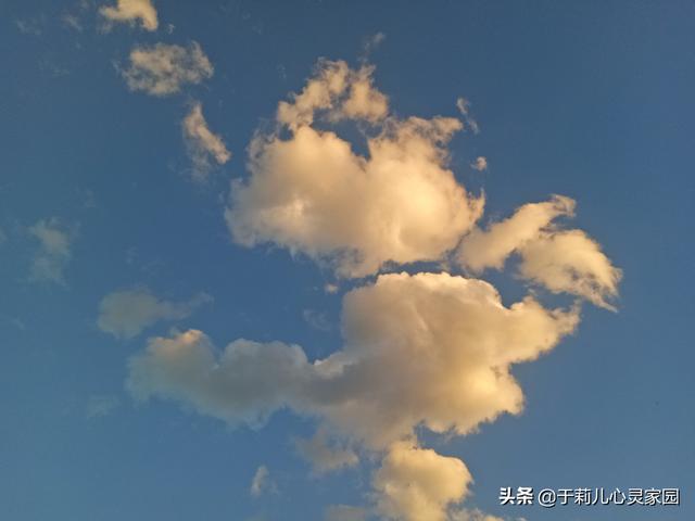 约吗旅行▲回味我的云南行