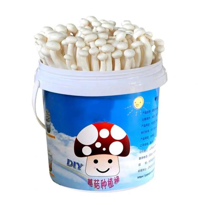 你的育儿经|家有小“贤”人