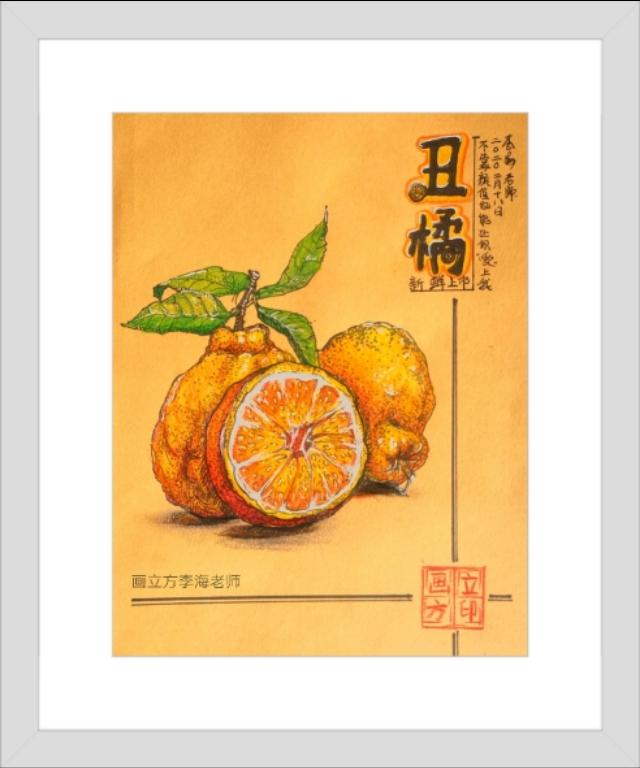 你的育儿经■少儿美术教育停课不停学||亲子绘画水果线描写生零基础教程