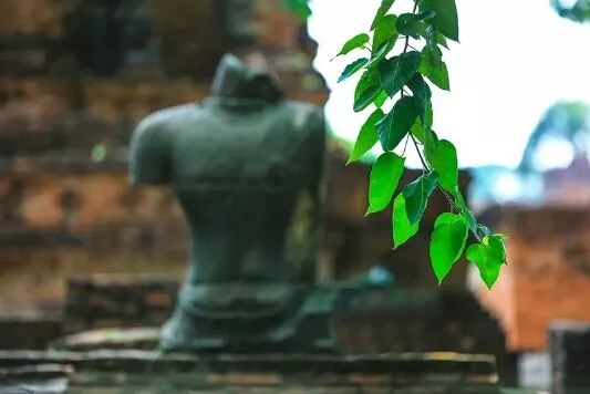 Emotions Reach Their End, They Become Silence