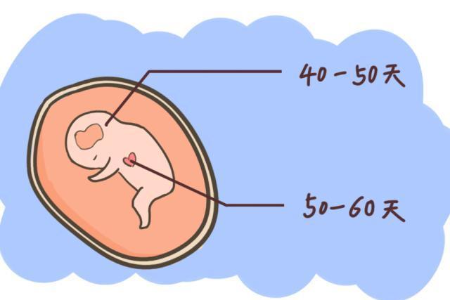 孕12周产检“无胎心”，多和这些因素有关，孕妈一定要注意防范