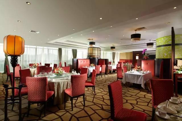 松江人，还没想好年夜饭去哪吃？看这篇文章就够啦→