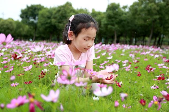 #约吗旅行#花又开好了!海盐开发区百亩花田盛情绽放