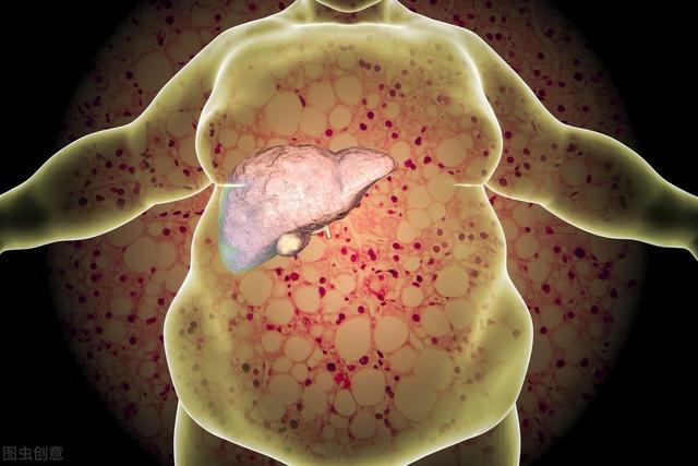 我国成年居民超重率超50%，肥胖会带来这10大危害