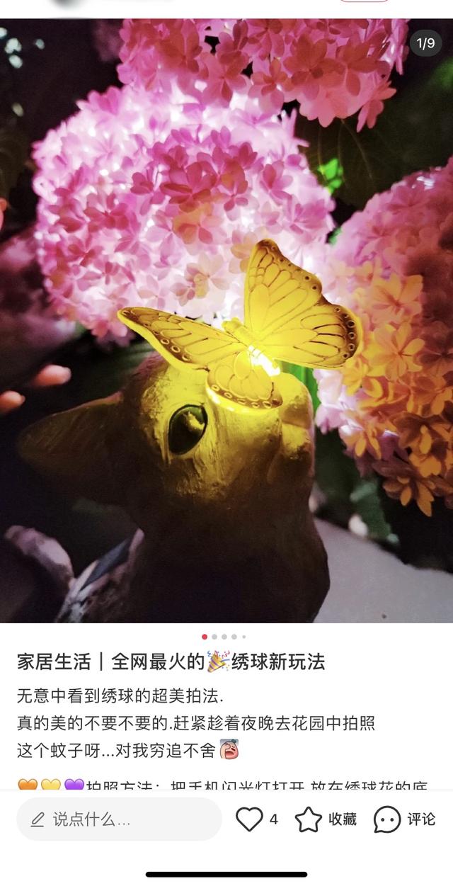 玩法|“花样百出”鲜花新玩法，你get到了吗？