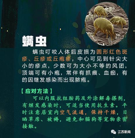 咬伤|被它咬了一口，女子窒息身亡！医生：第一时间应这样做