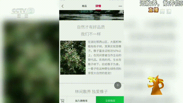 「超级宝妈」产妇坐月子，吃土鸡蛋有营养？记者揭露：“土鸡蛋”背后的黑幕