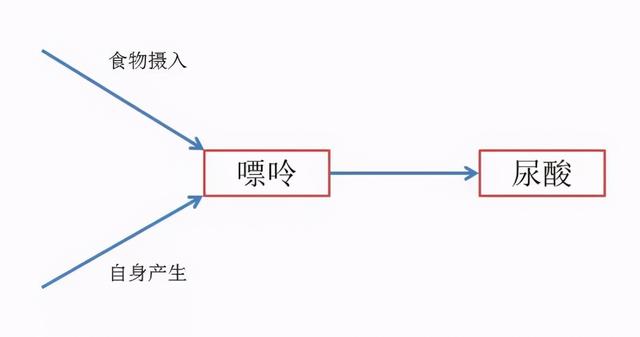 尿酸升高就是痛风？高尿酸血症和痛风有何区别？