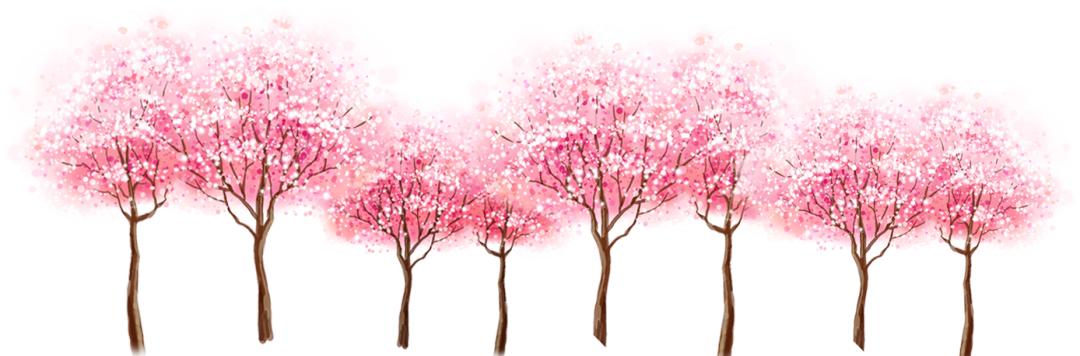 「趣旅游」趁樱色,入画来!