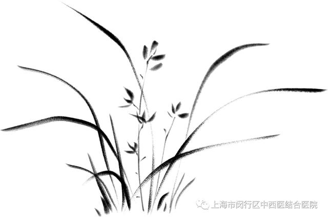 专家|钟南山院士的学生、龙华医院主任医师来闵行坐诊！可以这样预约……