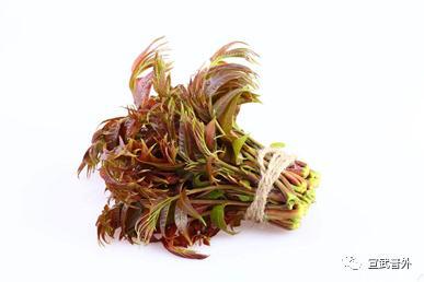 亚硝酸盐|“椿”意盎然的香椿真的致癌吗？