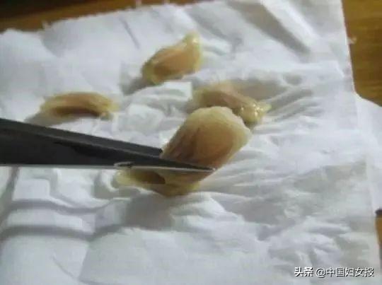 中国妇女报：特殊时期 特别家教 | 战“疫”动起来（四十一）