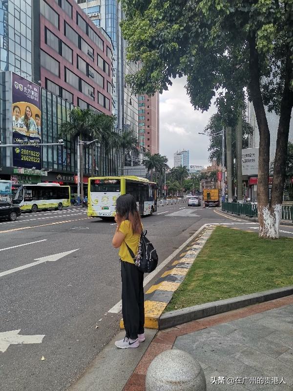 【山楂味的诗】走马观花,看顺德大良。