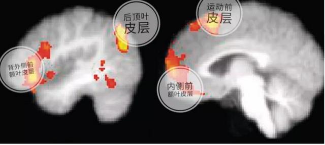 “左撇子”孩子比普通人更聪明？英国科学家：别把问题想得太复杂