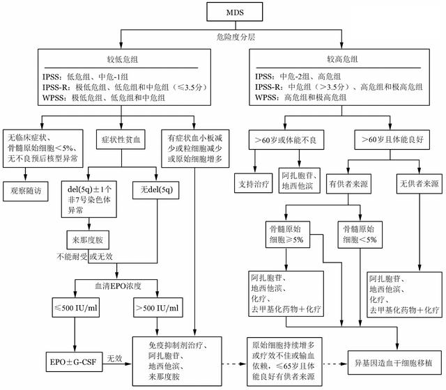 骨髓增生异常综合征中国诊断与治疗指南（2019年版）