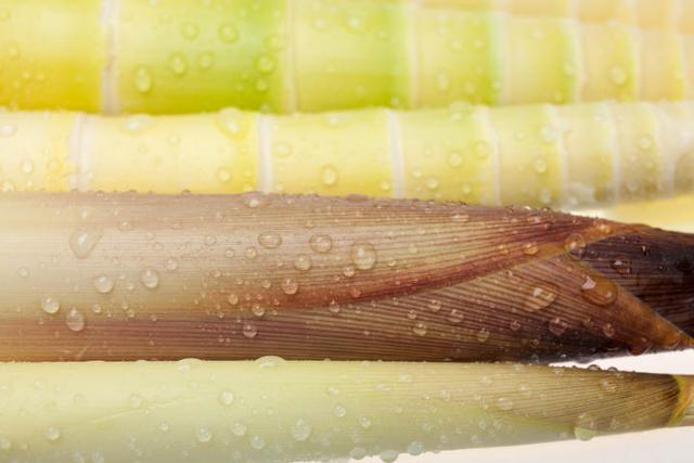 春笋|元气厨房 | 谷雨吃笋，G20大厨教你做好吃又好看的桃花泛