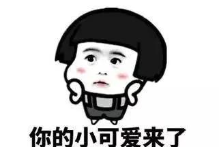 金牌大叔|鼎湖小“神兽”返园啦！镜头记录了这群小可爱