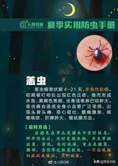 叮咬|清明出游后腿上多了几个红斑，医生紧急提醒：千万小心它，可致命