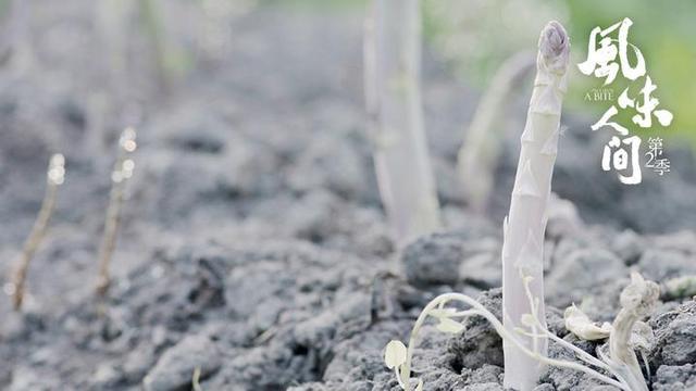 中国新闻网客户端|《风味人间》第2季收官 根茎类食物有多美味？