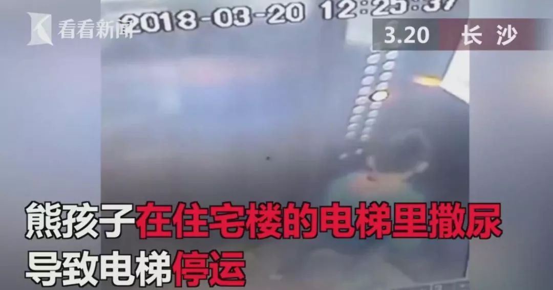 『暖先生格调』未满月儿子遭4岁侄女暴打,熊孩子坏起来太可怕,你不教育,总会有人替你教育他!