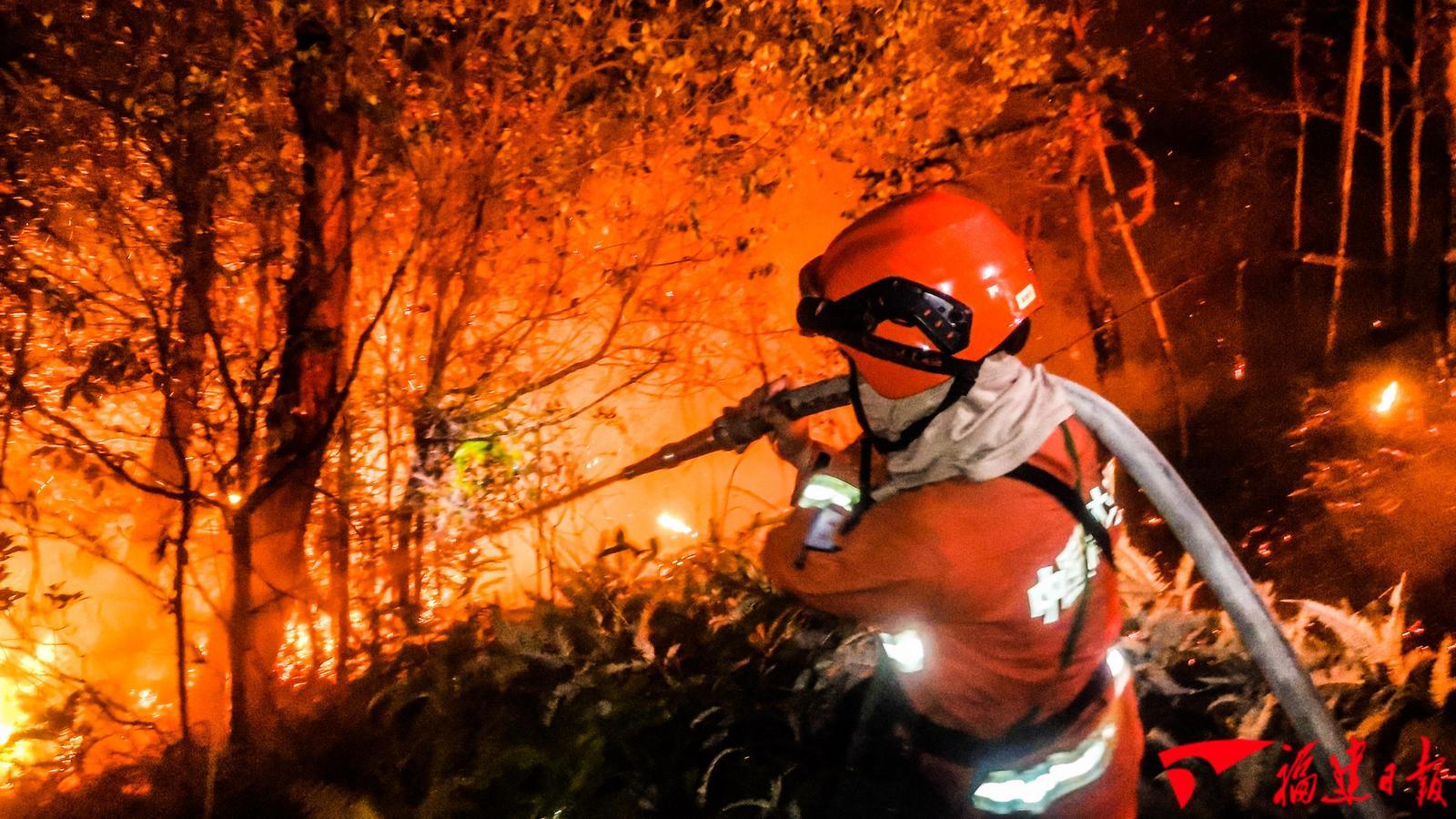 森林消防员灭火画面