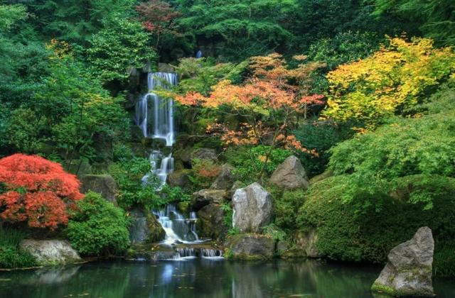 「旅行柚子君」浪漫花园:欣赏各地奇珍异草共同生长的繁荣景象