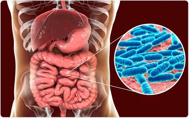 【超级宝妈】糖友备孕要注意肠道菌群！最新研究：孕妇肠道细菌与婴儿过敏有关