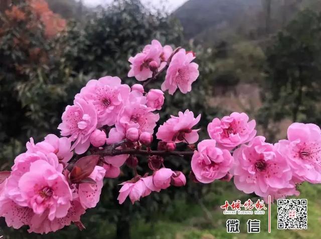 趣旅游@【十堰】十堰首家!这个景区今天复工!