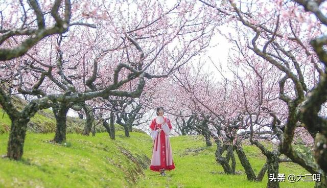 #旅行柚子君#【中国绿都?最氧三明】三明绝美古风拍摄地,随便一按就是穿越大片!
