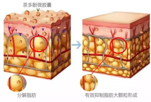 「时尚迪科」一口气测评了15款瘦腿裤:坑