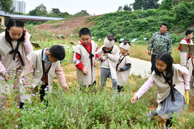 「喜讯」五龙客家风情园荣获“江西省科普教育基地”称号