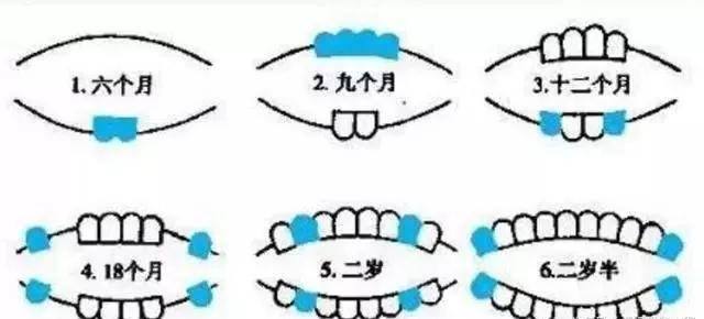 超级宝妈▲宝宝“迟迟不长牙”是什么回事,该怎么办?