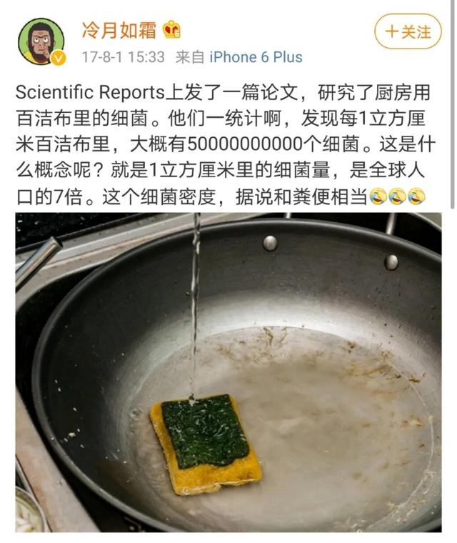 厨房这个小东西比马桶脏多了，赶快丢掉它