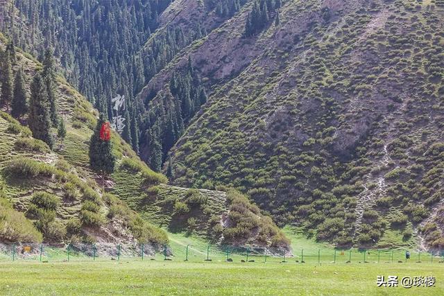 #趣旅游#一年只开放5个月,这条纵贯天山脊梁的景观大道,老司机才能挑战