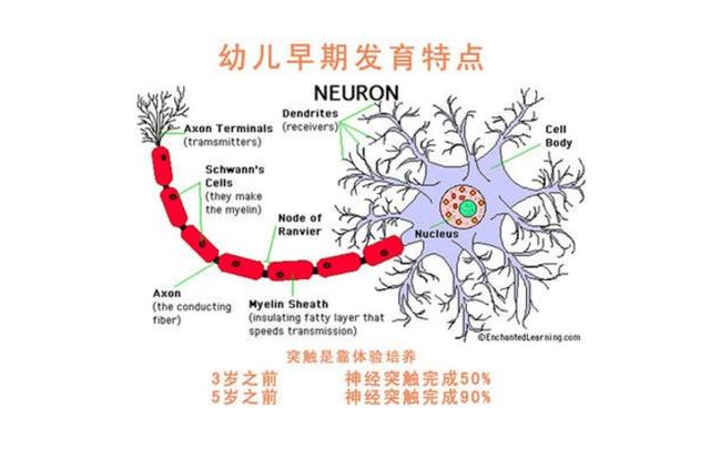 『超级宝妈』3岁前给宝宝这4种“刺激”,可以促进大脑发育,宝宝将来更聪明