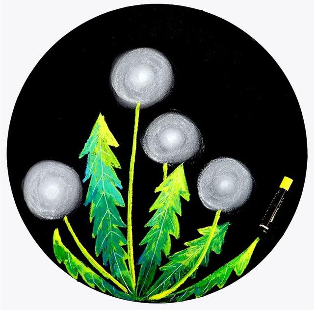 你的育儿经▲创意儿童画教程｜毛茸茸的蒲公英