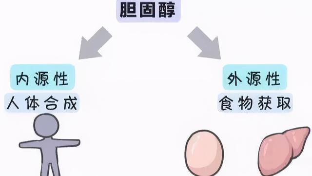 每天一个鸡蛋糖尿病风险增加60%？是真是假？