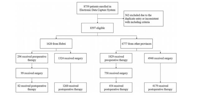 江泽飞教授：透过我国疫情期间乳腺癌诊疗变化大数据，畅谈在抗疫与抗癌两方面的成绩单
