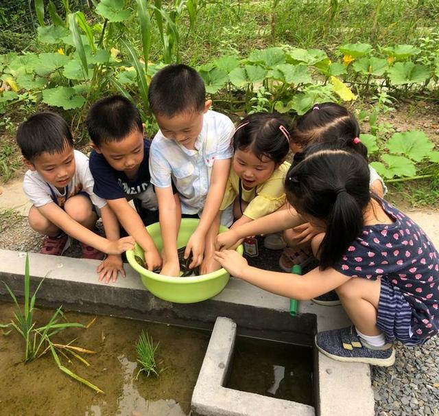 小酒窝|真有意思！这家幼儿园开了个“插秧课”，孩子们报名踊跃