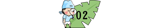 「夏以乔木」开学即期中！31个省市返校时间&暑假时间来了！复课第一个月，必须重视！（家长和孩子都读一读）