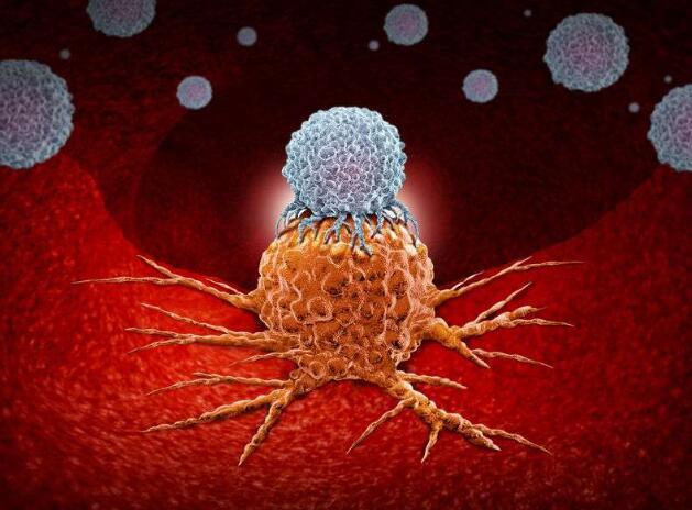 警惕癌从口入！这四类家常菜，多吃一口，离癌细胞可能更进一步