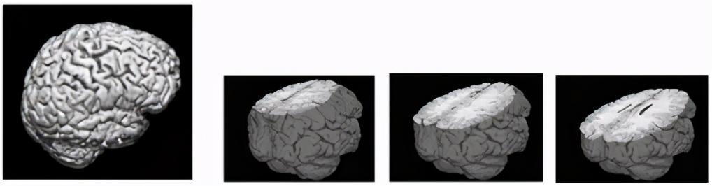 你曾想过如何将图像存储在数据集中吗？