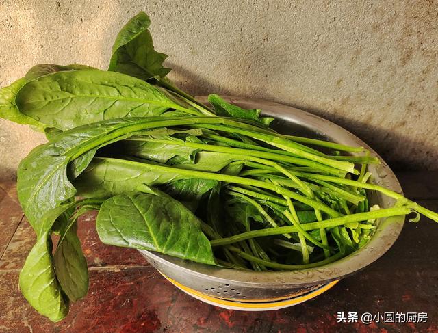 一把菠菜三个蛋，教你做早餐，5分钟就出锅，香软又营养